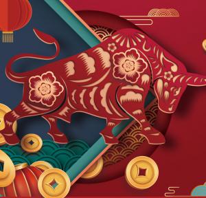 2021，加油干就是了！